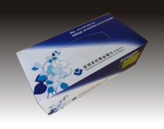 金融通訊系列-1 金融通訊系列-1