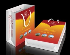 學(xué)校系列-5 學(xué)校系列-5